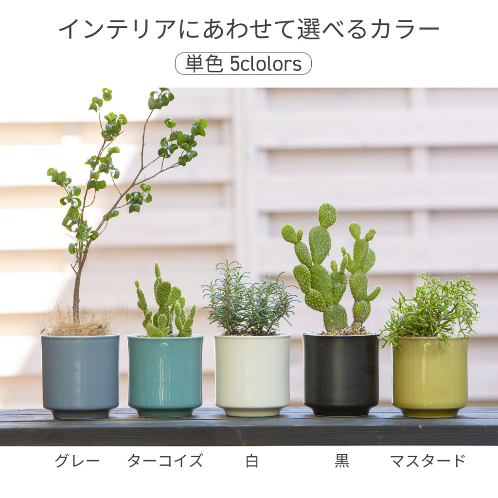 Leaf88 HASAMI POT 波佐見焼植木鉢