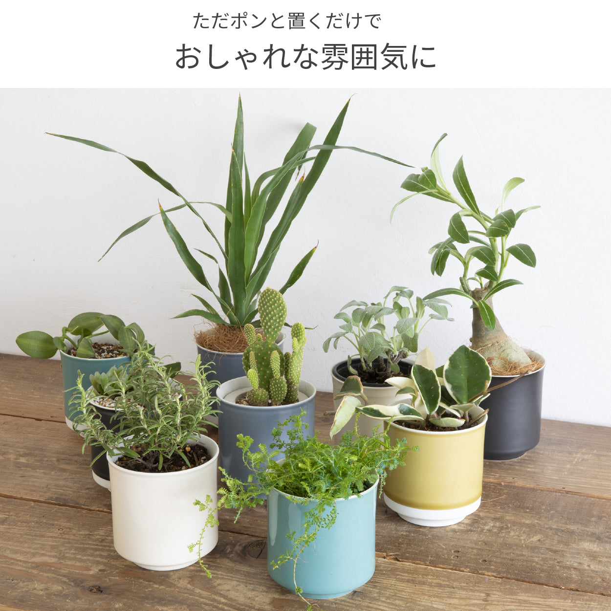 Leaf88 HASAMI POT 波佐見焼植木鉢