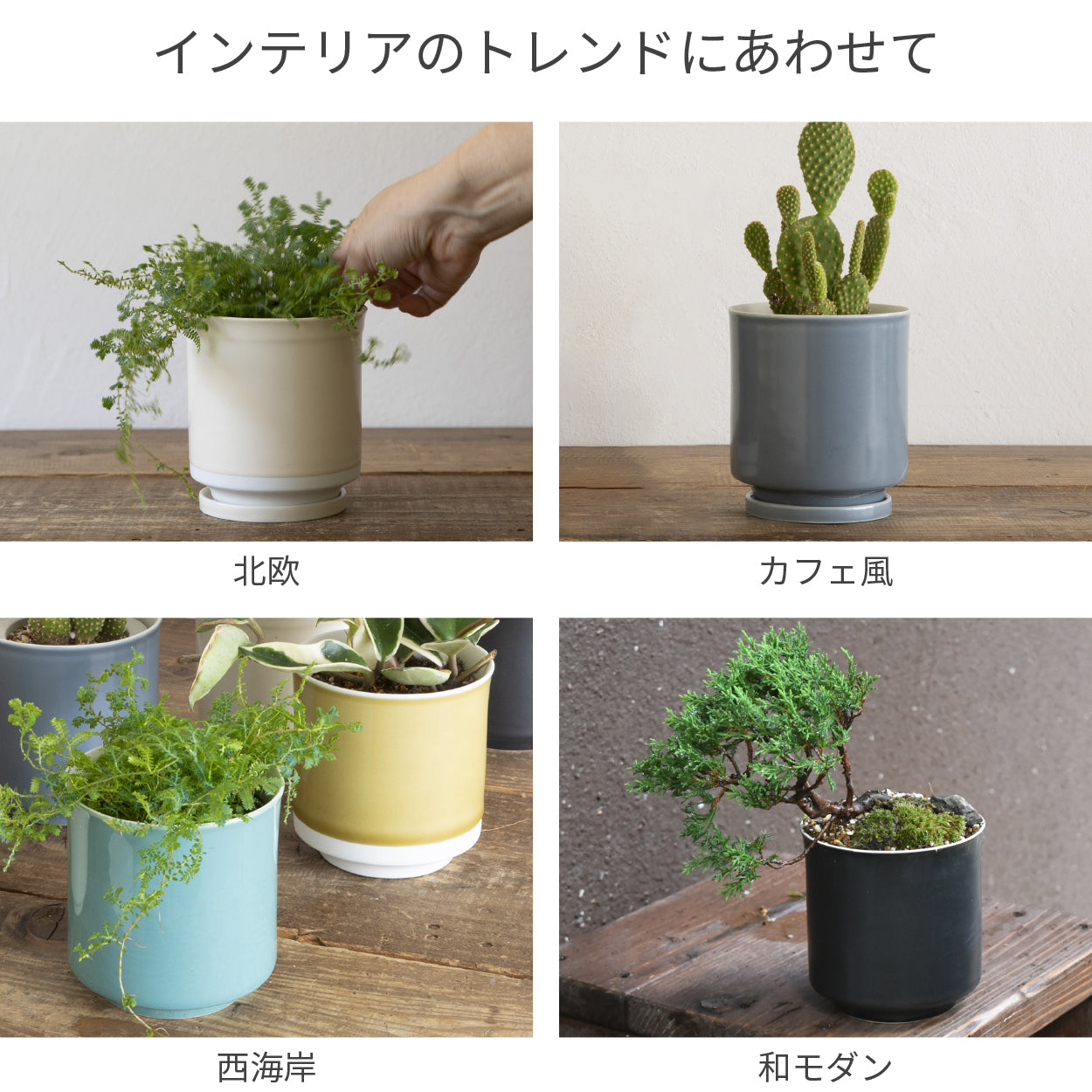Leaf88 HASAMI POT 波佐見焼植木鉢