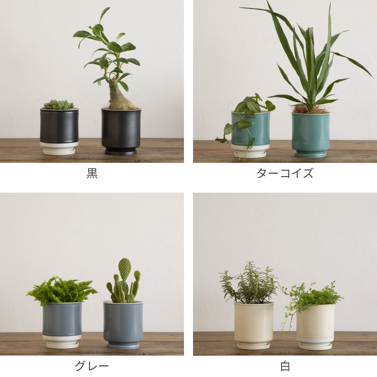 Leaf88 HASAMI POT 波佐見焼植木鉢