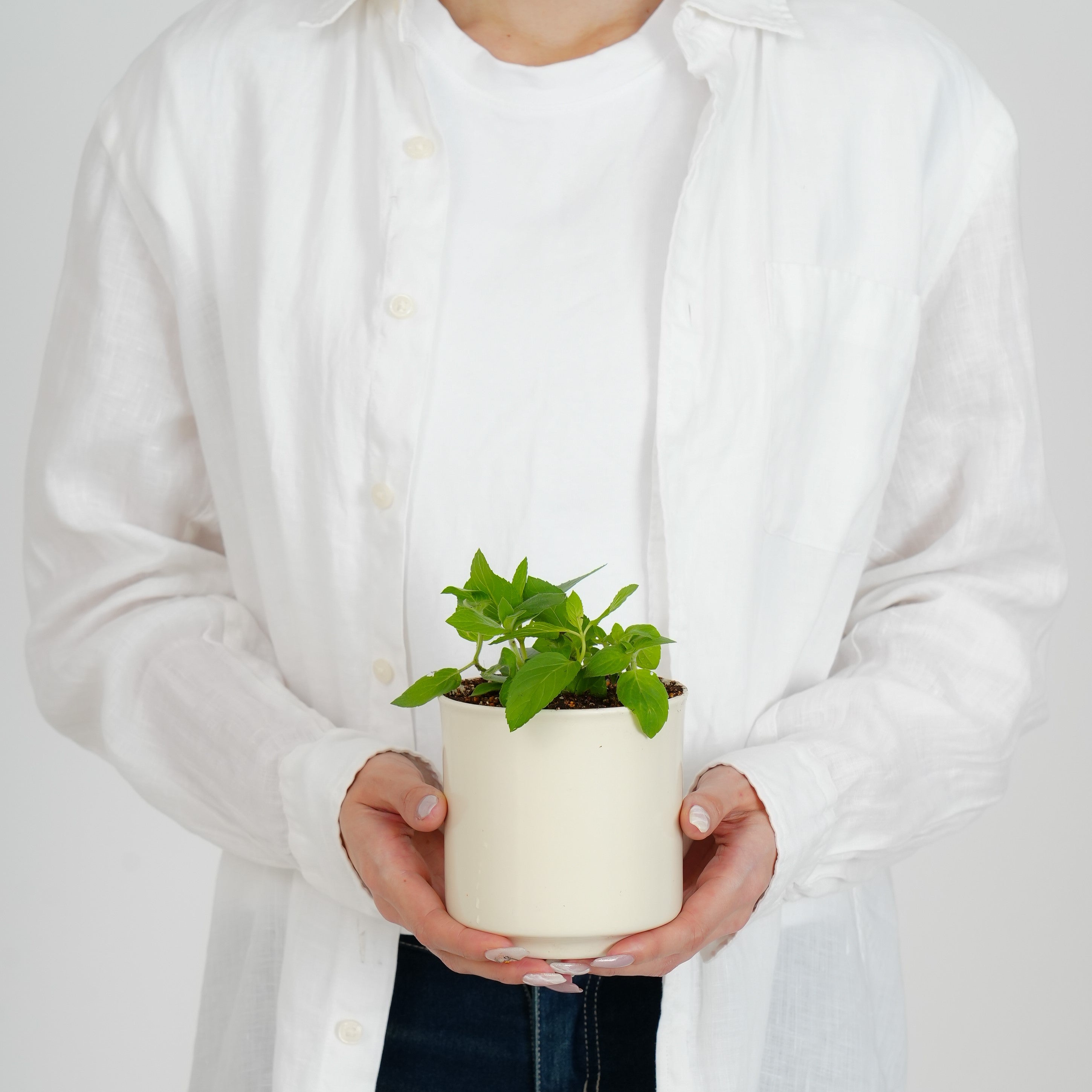 Leaf88 HASAMI POT 波佐見焼植木鉢