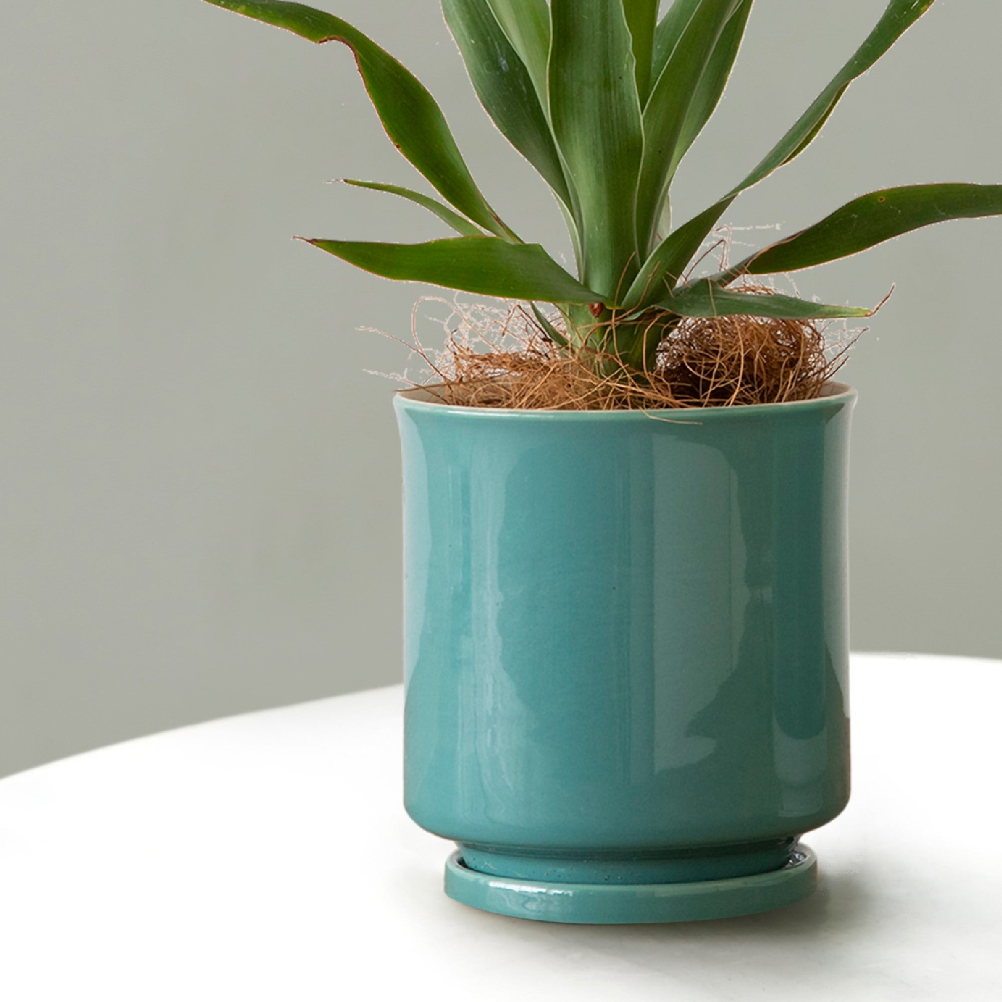 Leaf88 HASAMI POT 波佐見焼植木鉢