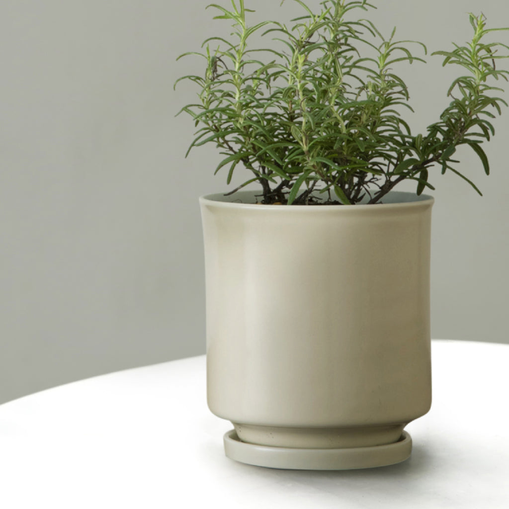 Leaf88 HASAMI POT 波佐見焼植木鉢