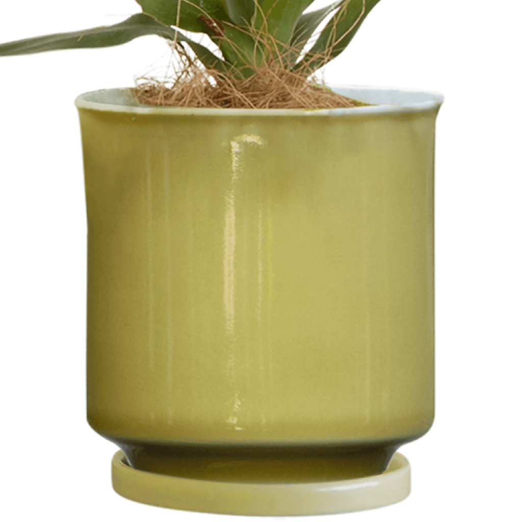 Leaf88 HASAMI POT 波佐見焼植木鉢