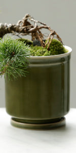 Leaf88 HASAMI POT 波佐見焼植木鉢