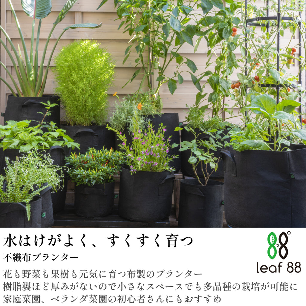 不織布プランター 12ガロン