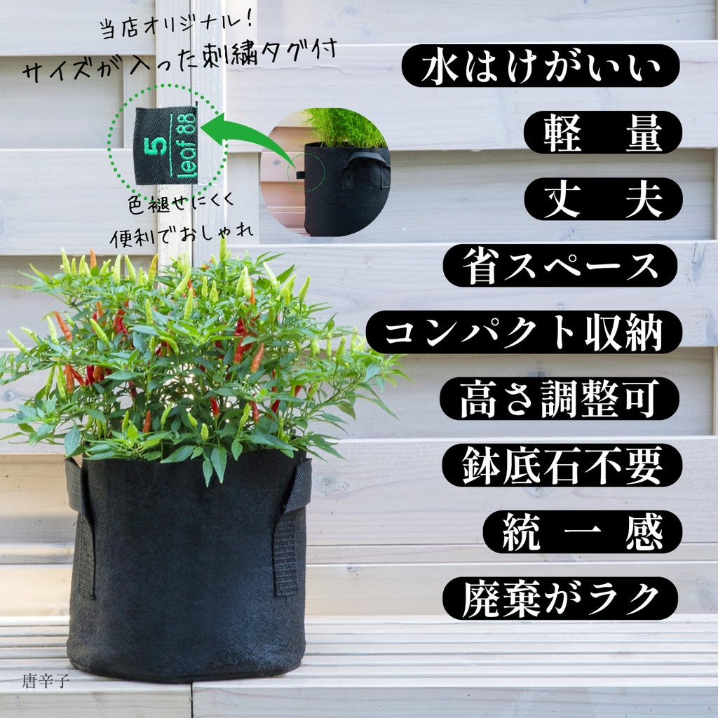不織布プランター 12ガロン
