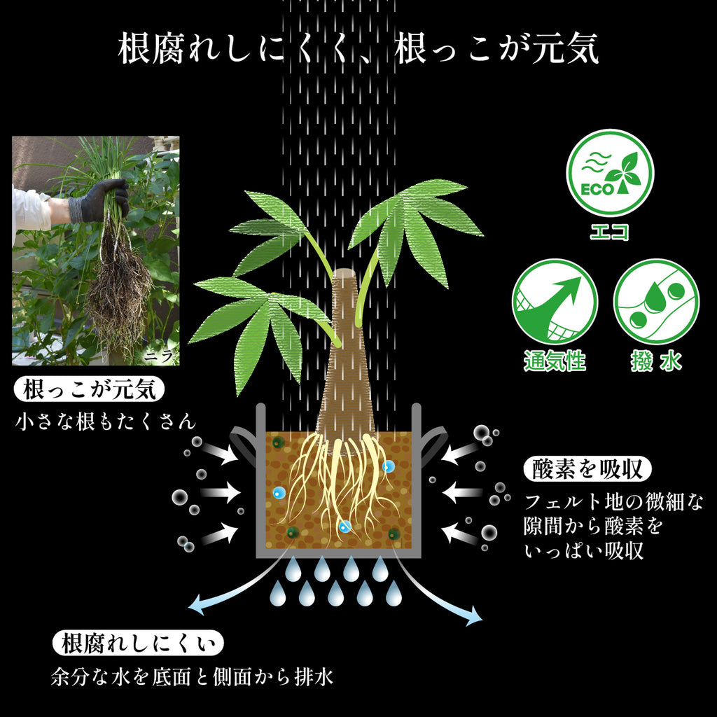 不織布プランター 12ガロン