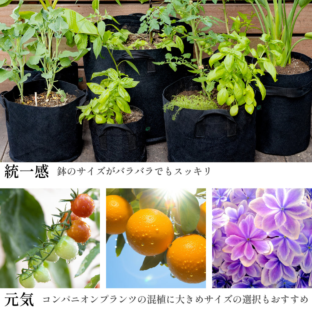 不織布プランター 12ガロン